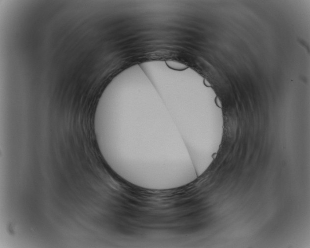 X0000098040091200804251050