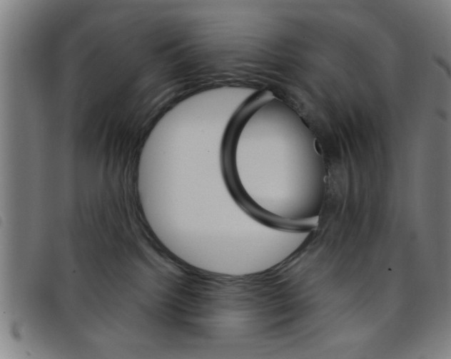 X0000098040092200804251050