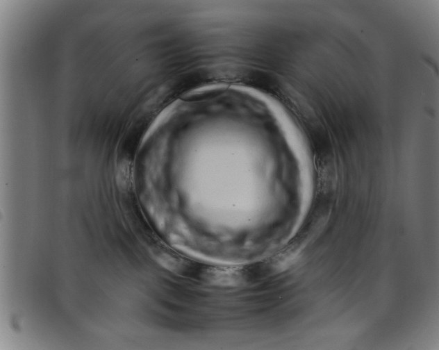 X0000098040093200804251050