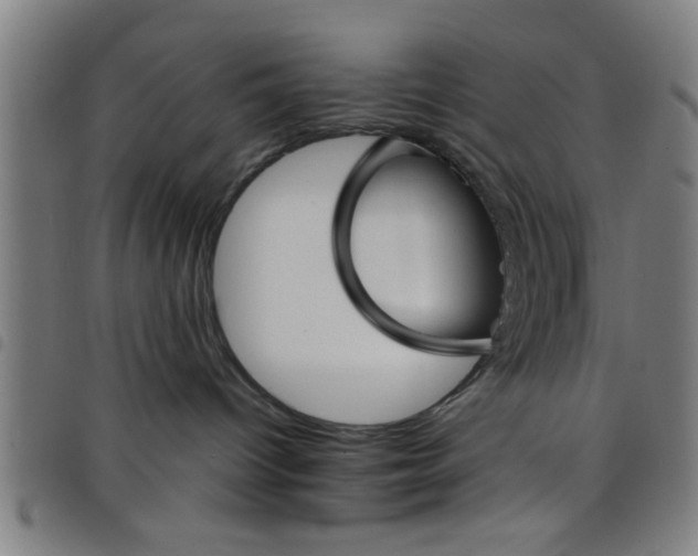 X0000098040096200804251050