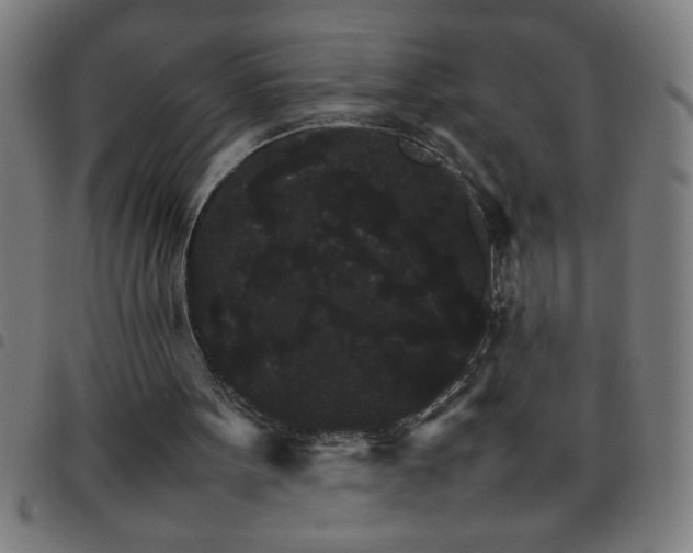 X0000098040099200804251049