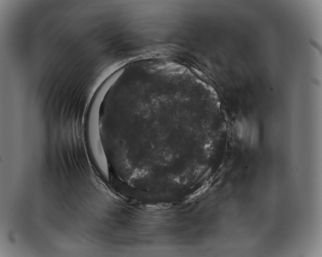 X0000098040100200804251049