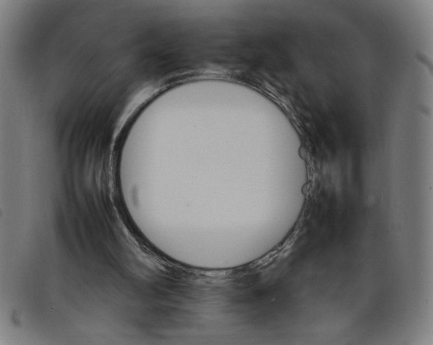 X0000098040102200804251049