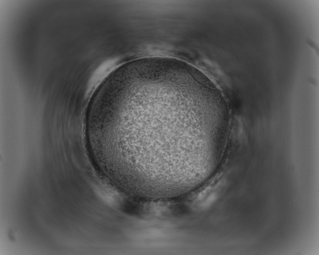 X0000098040103200804251049