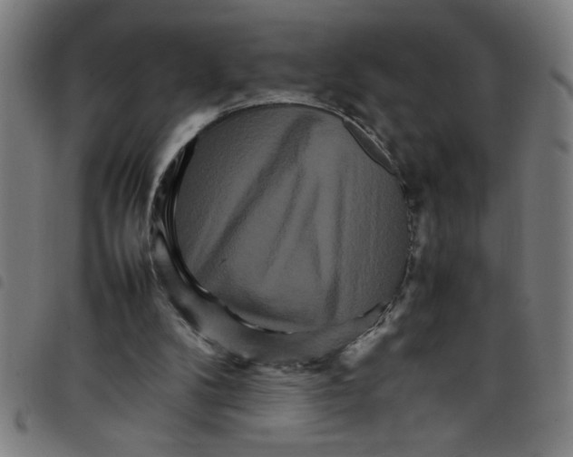 X0000098040104200804251049