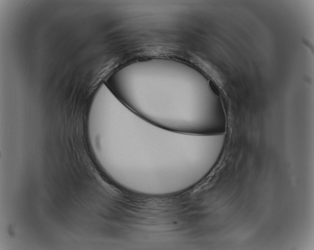 X0000098040105200804251049