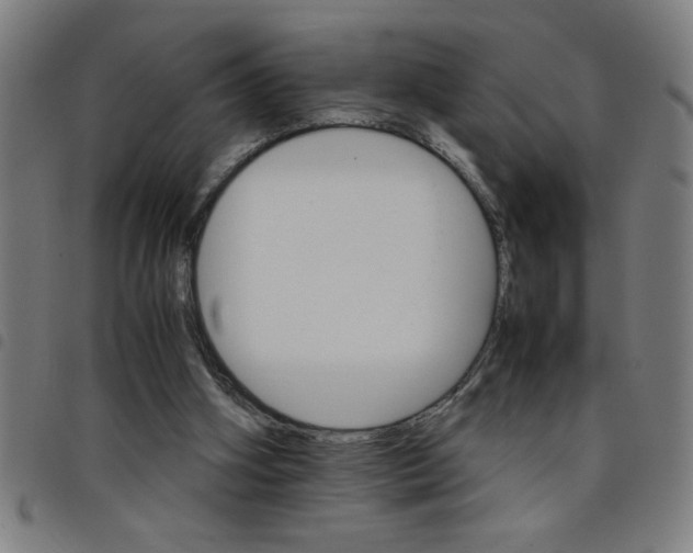 X0000098040106200804251049