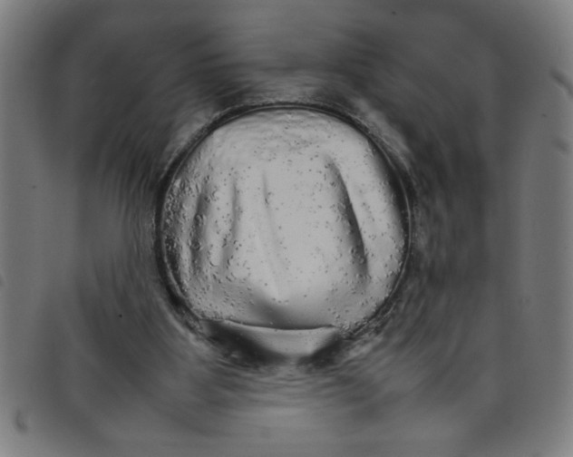 X0000098040107200804251049