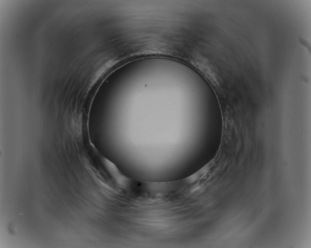 X0000098040108200804251049