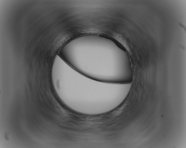 X0000098040109200804251049