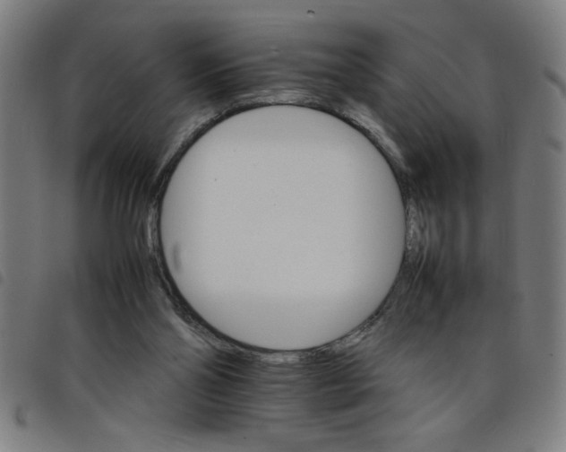 X0000098040110200804251049