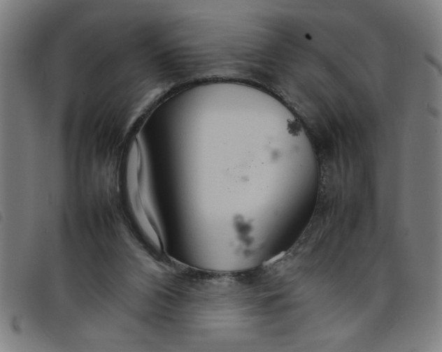 X0000098040112200804251049