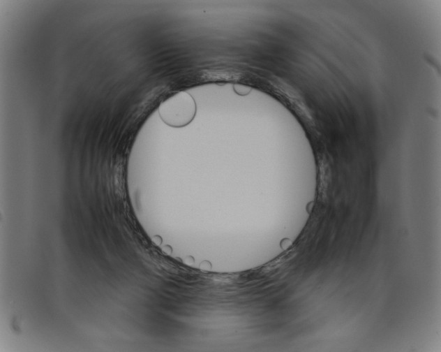 X0000098040114200804251049