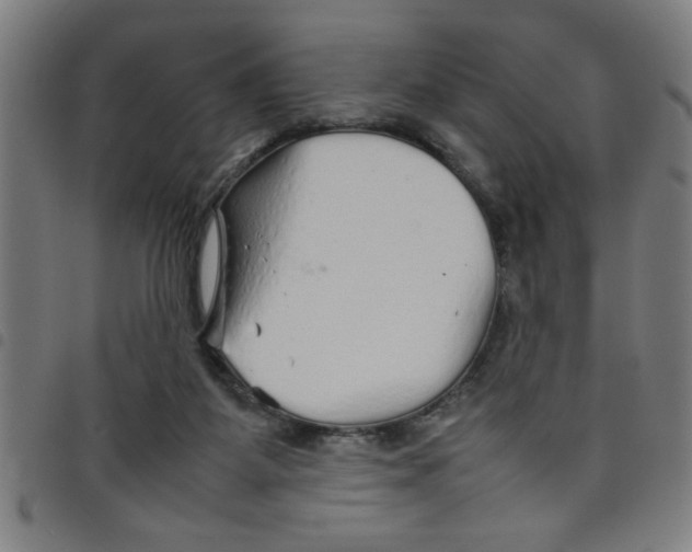 X0000098040115200804251049