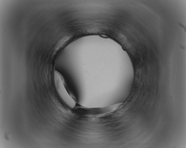 X0000098040116200804251049