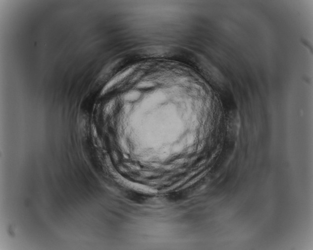 X0000098040119200804251049