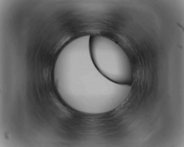 X0000098040120200804251049