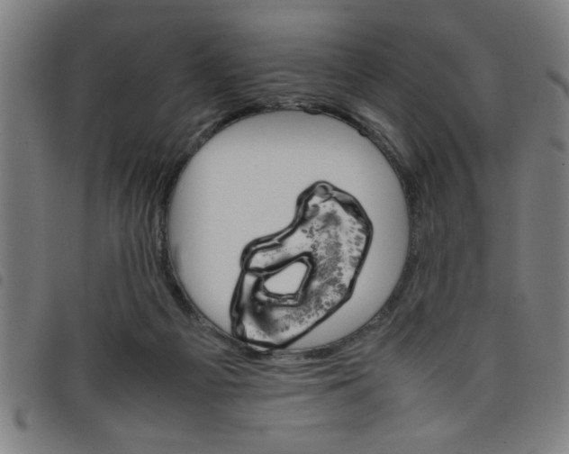 X0000098040121200804251049