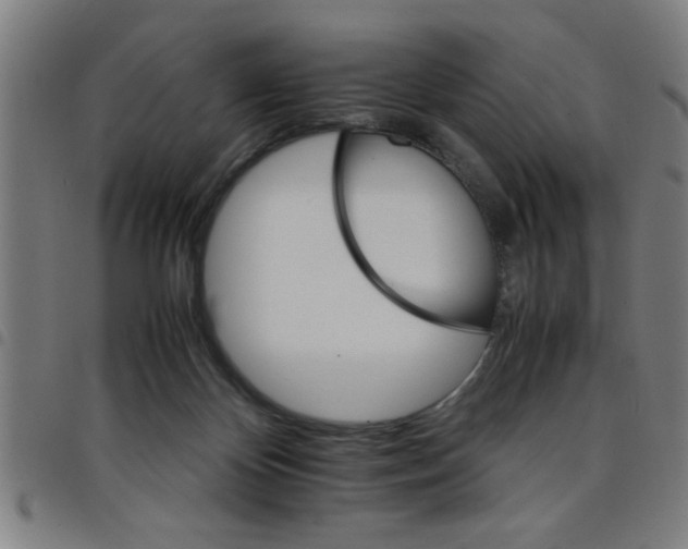 X0000098040124200804251048