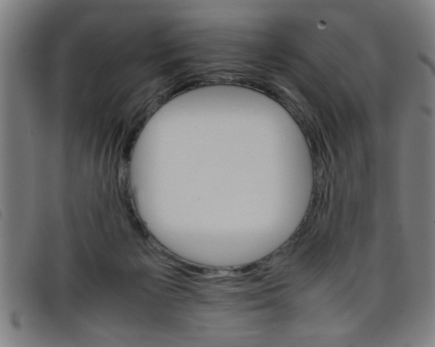 X0000098040125200804251048