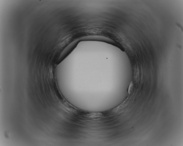 X0000098040128200804251048