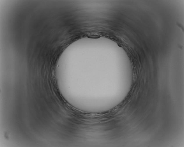 X0000098040129200804251048