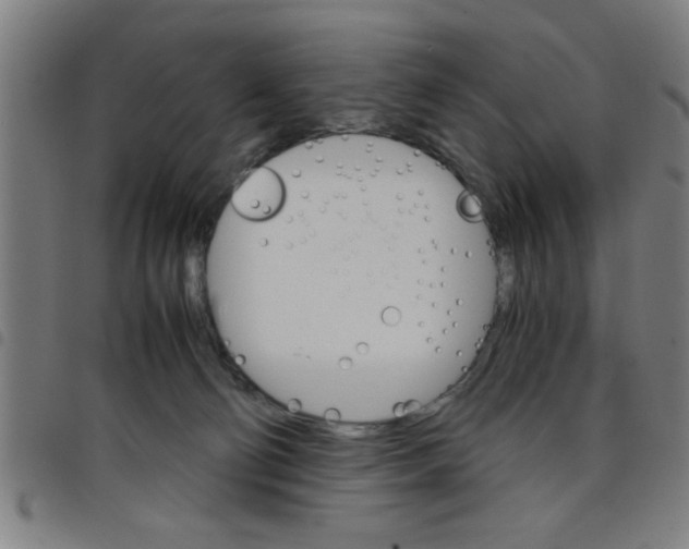 X0000098040130200804251048