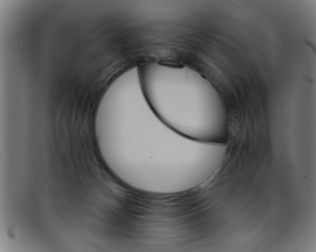 X0000098040132200804251048