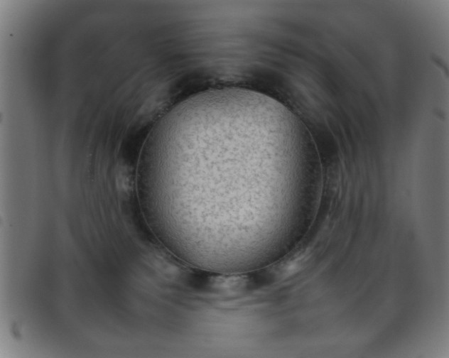 X0000098040135200804251048