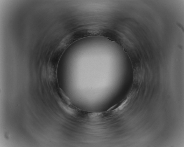 X0000098040136200804251048