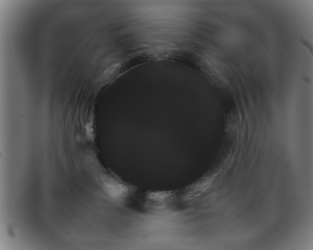 X0000098040139200804251048