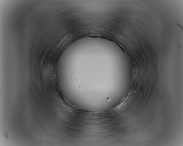 X0000098040140200804251048