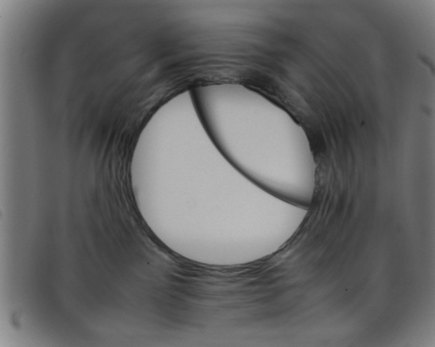 X0000098040141200804251048