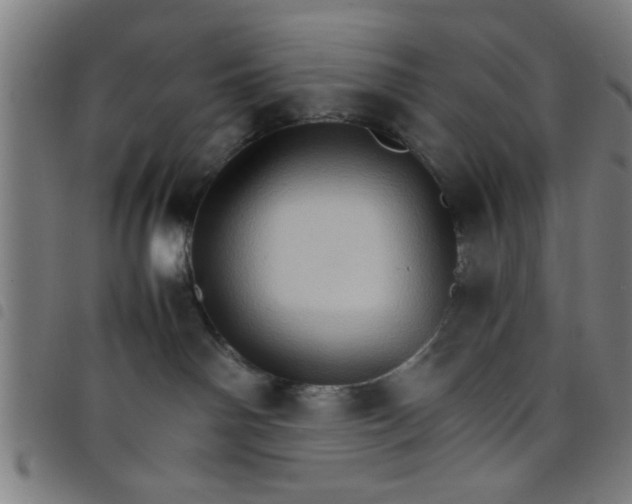 X0000098040142200804251048