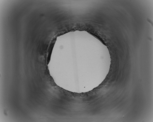 X0000098040144200804251048