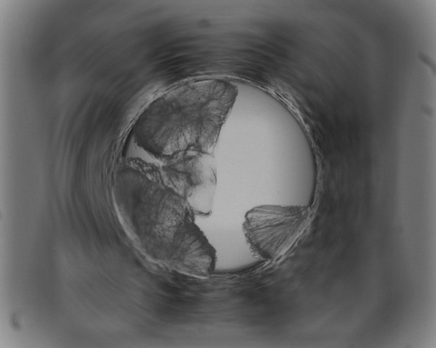 X0000098040145200804251047