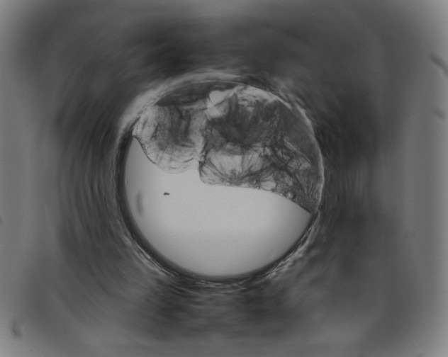 X0000098040149200804251047