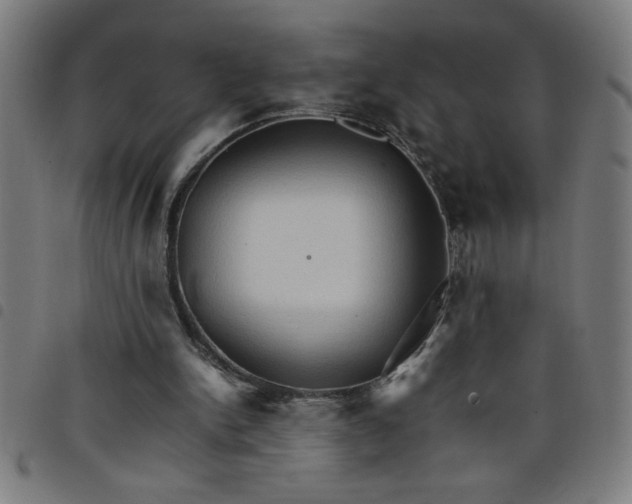 X0000098040150200804251047