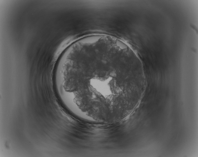 X0000098040151200804251047