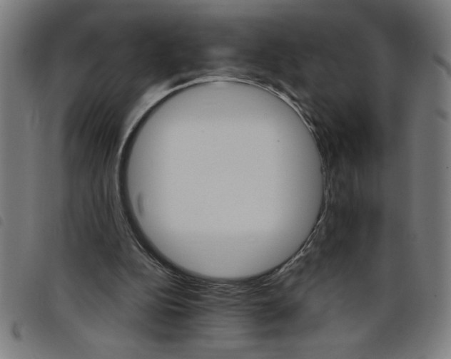 X0000098040152200804251047