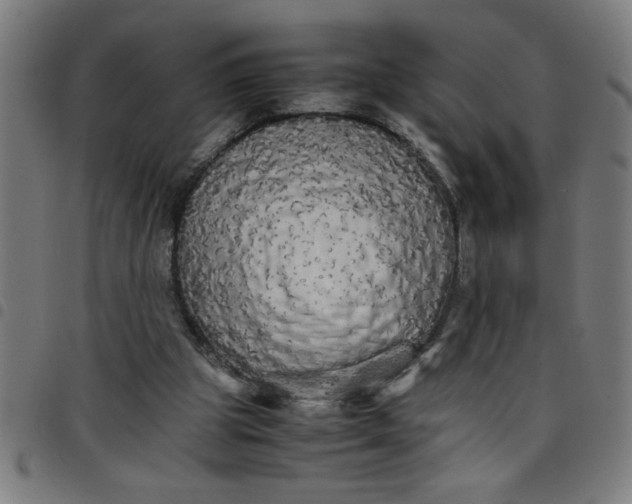 X0000098040153200804251047