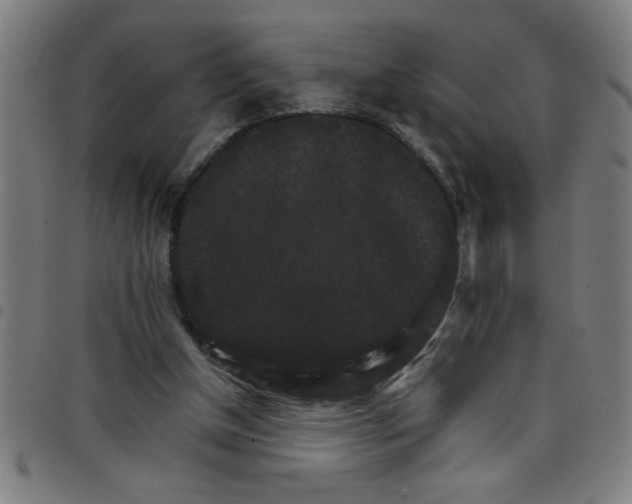 X0000098040154200804251047