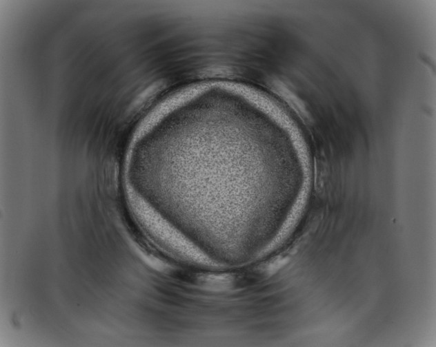 X0000098040157200804251048