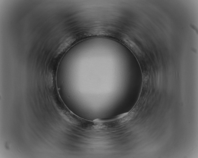 X0000098040158200804251048