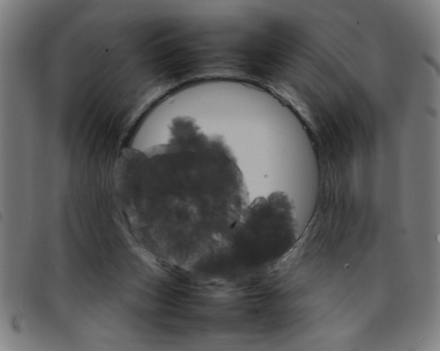 X0000098040159200804251048