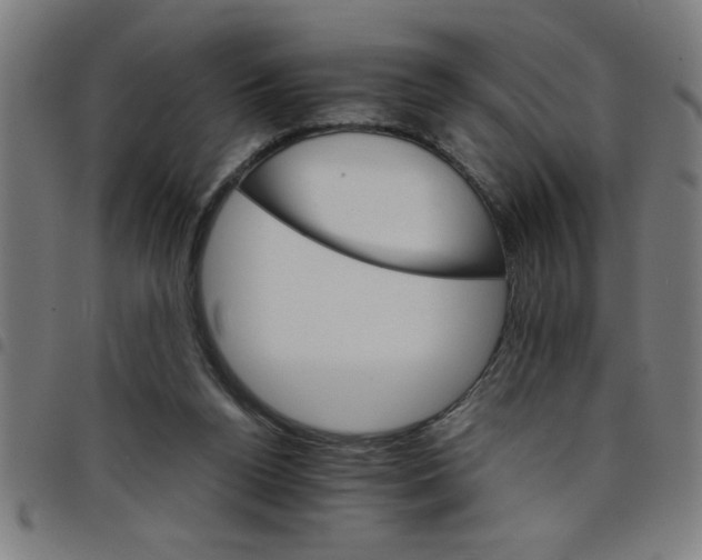 X0000098040160200804251048