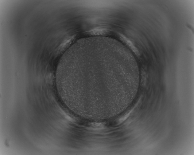 X0000098040161200804251048