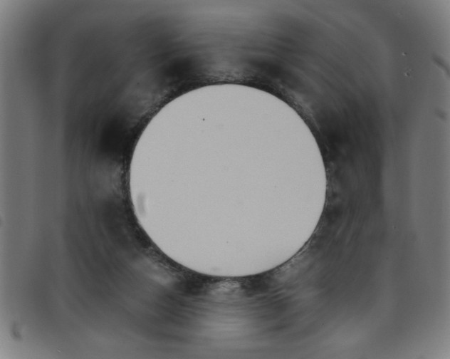 X0000098040162200804251048