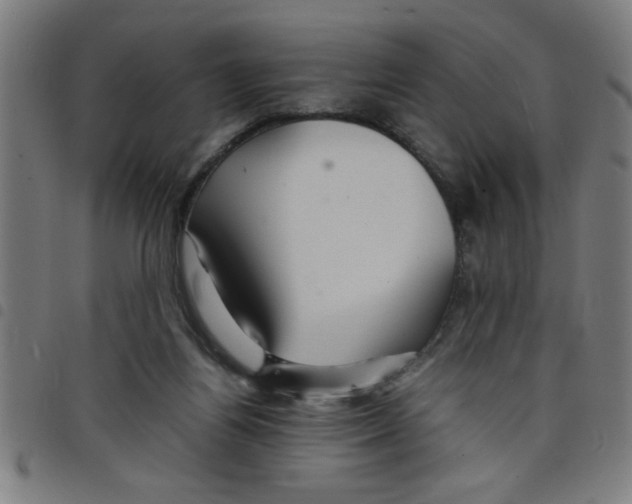 X0000098040164200804251048