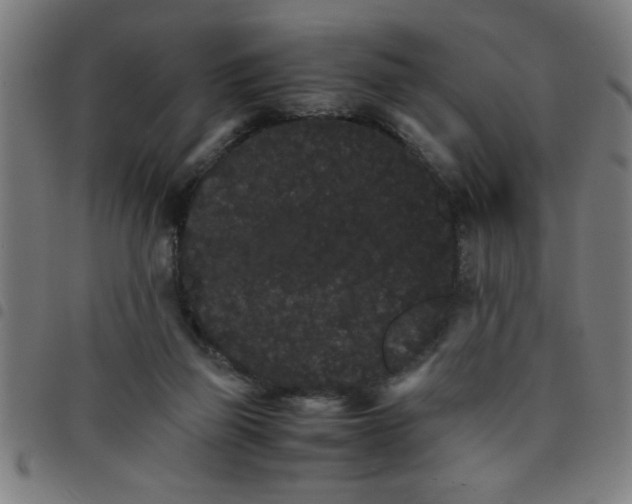 X0000098040165200804251048